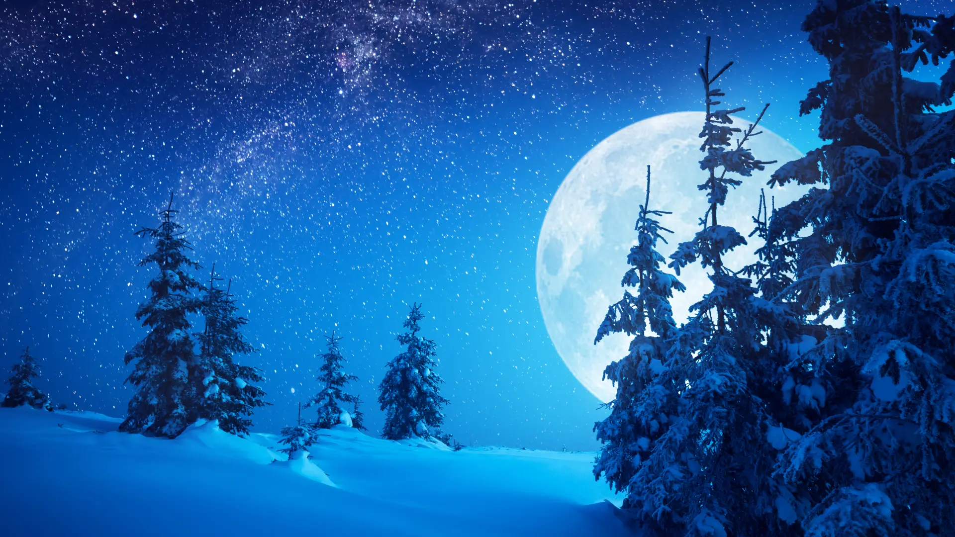 shutterstock_540801157 sneg, mesec, jelka, zima, zvezde, horoskop, decembar, planina, jelka, hladnoća-6569c5ba42a99.webp